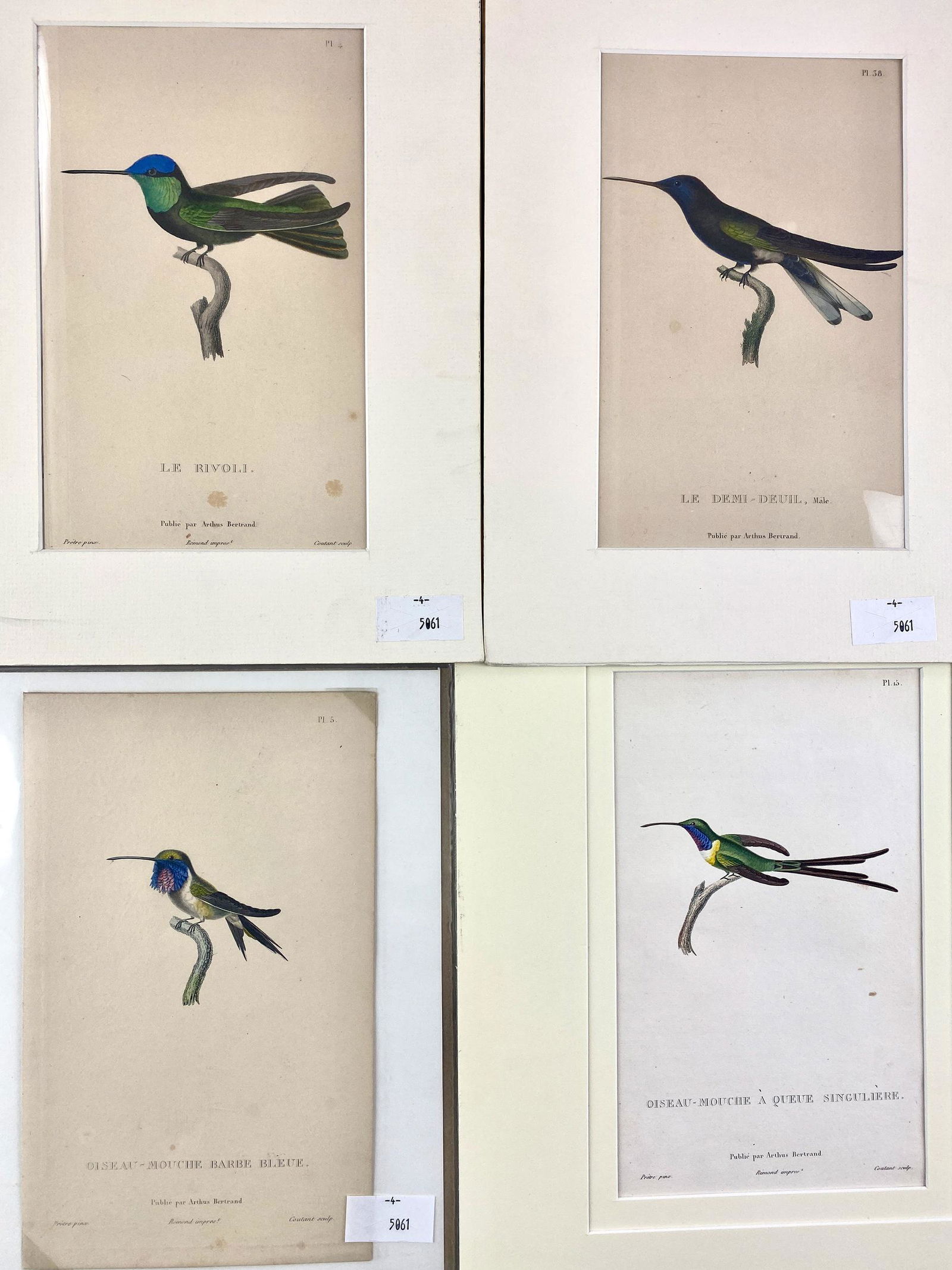 Large Group of Framed/Unframed Aviary Prints (1 of 7)