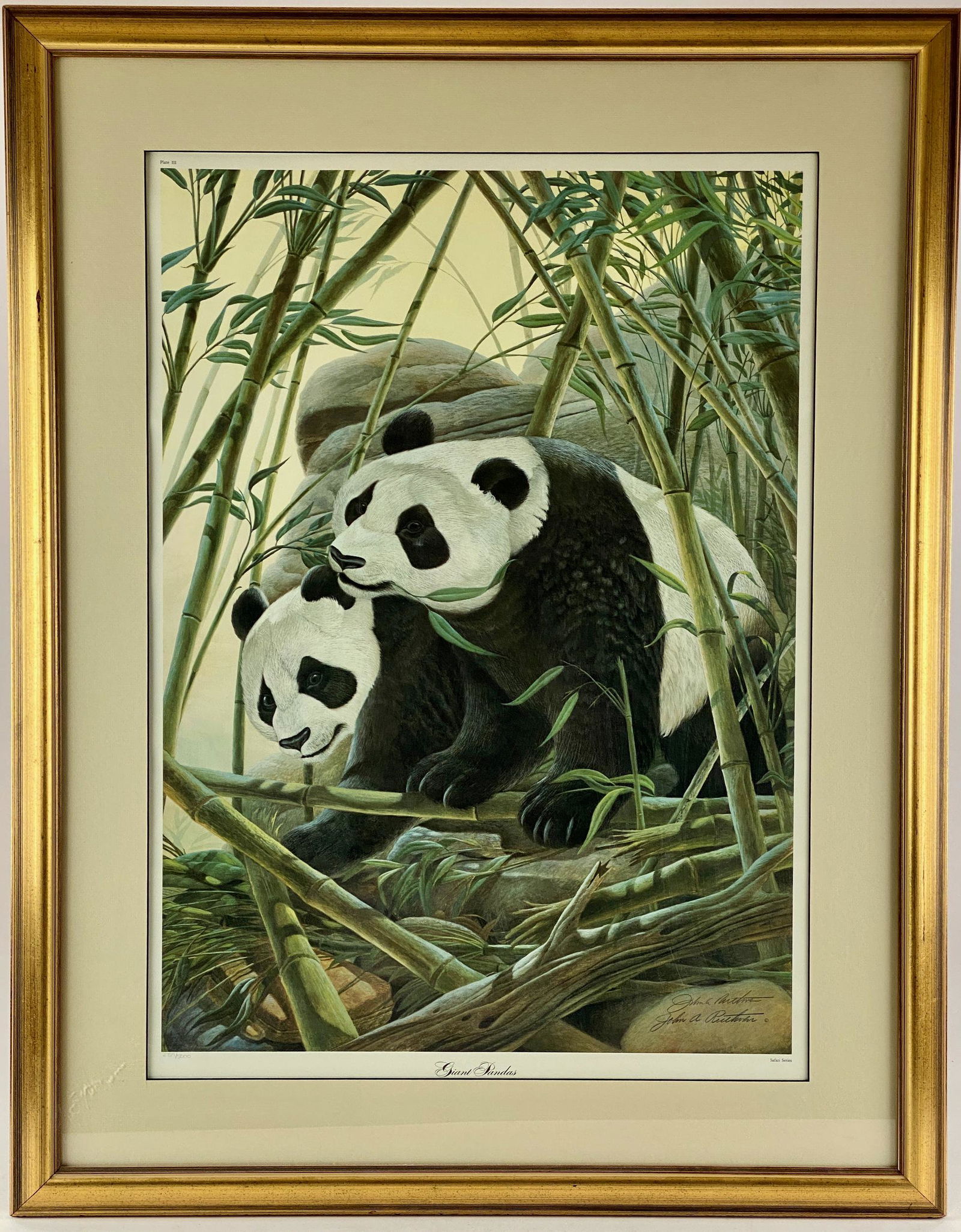 "Giant Pandas" by John Ruthven (1 of 6)