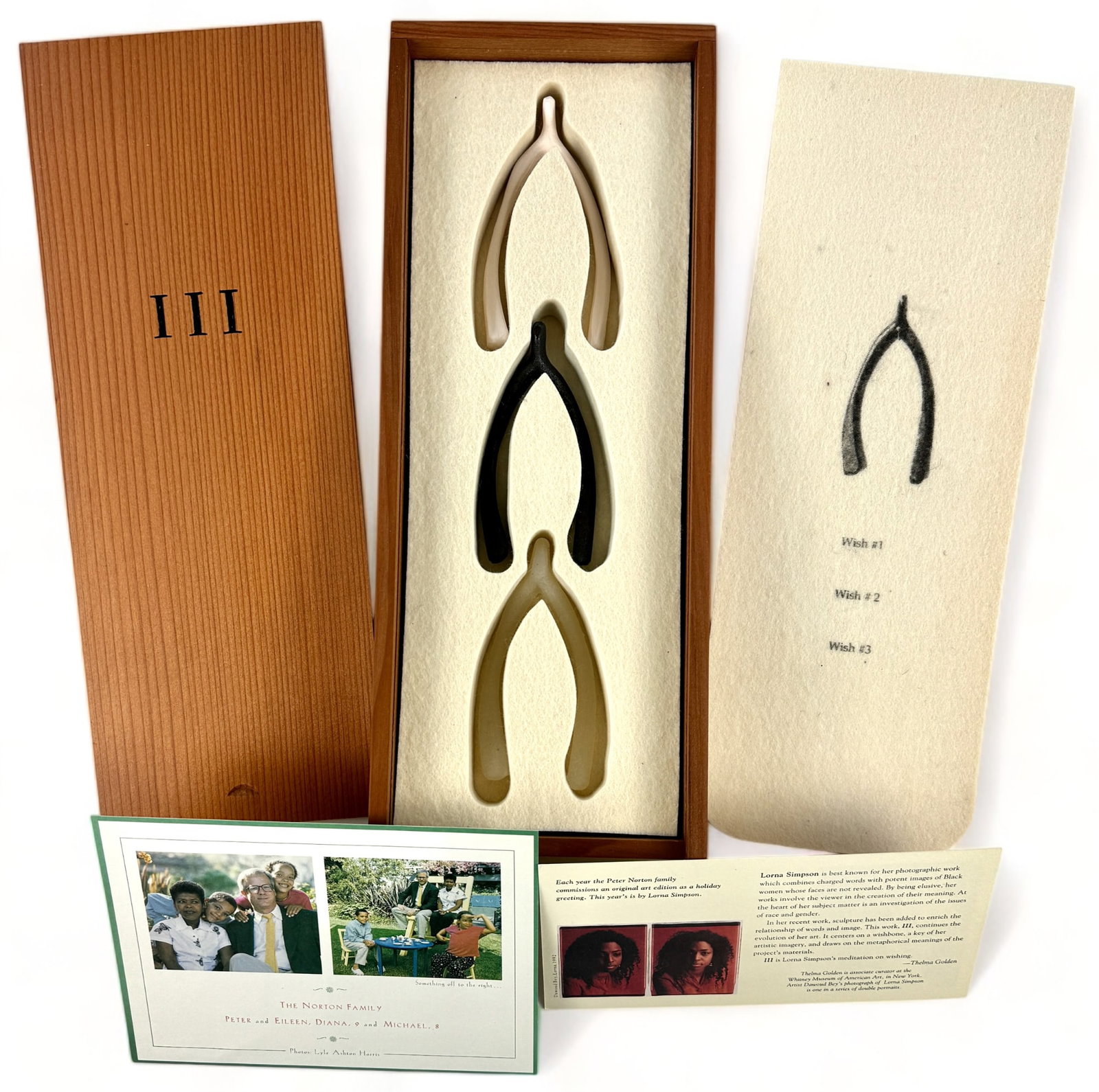 "III (Wishes)" by Lorna Simpson- Norton Family (1 of 8)