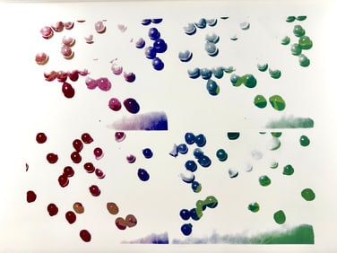 Andy Warhol Silkscreen, "Grapes"