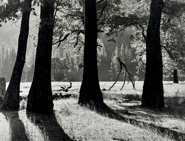 Two Photographs: David Lubbers (b. 1953)