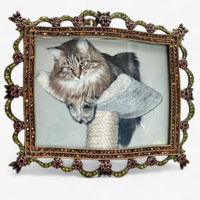 Jay Strongwater Frame