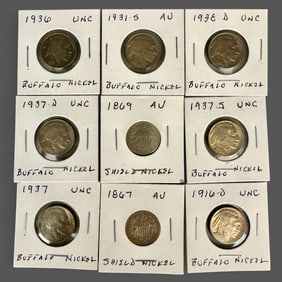 Collection of 9 Shield and Buffalo Nickels