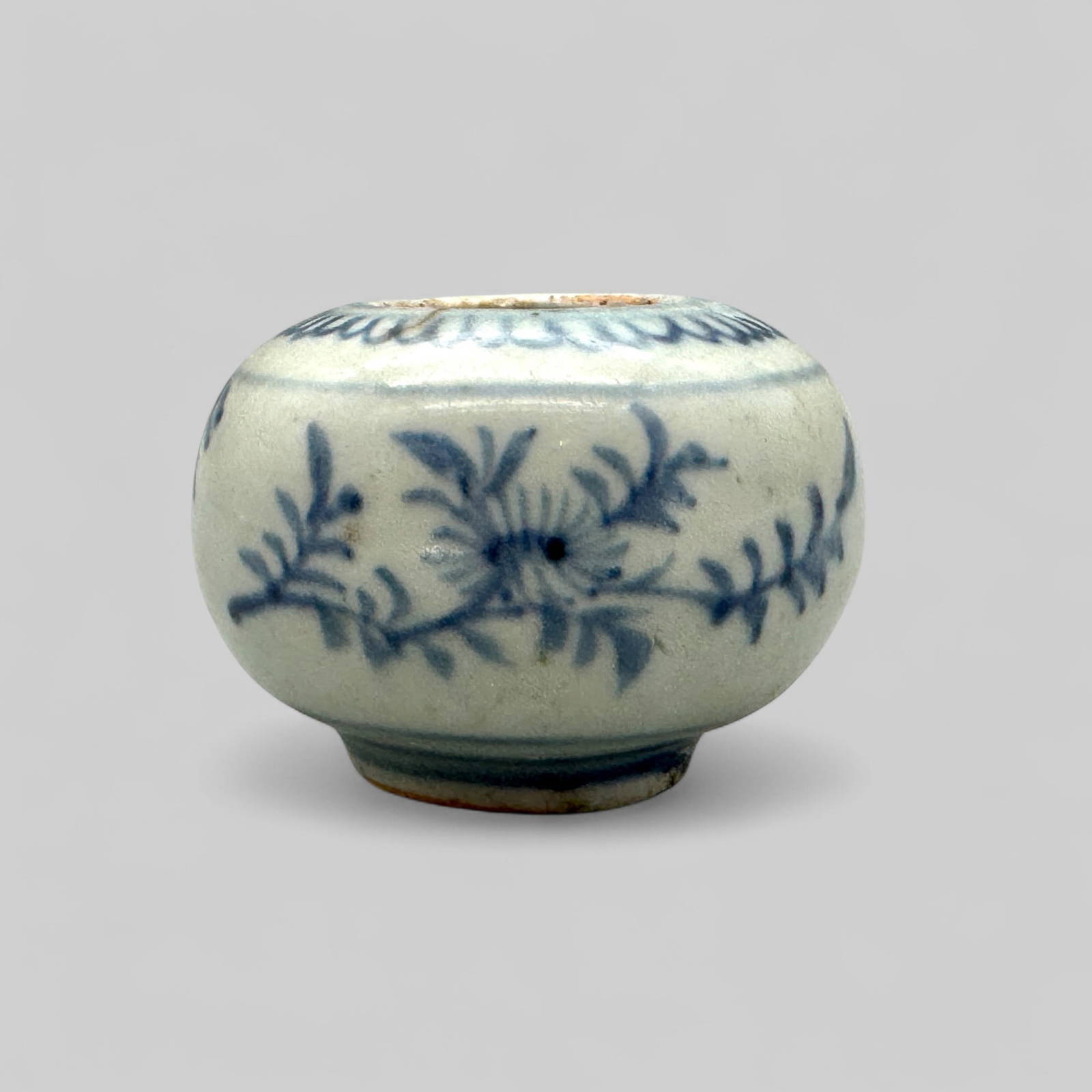 Porcelain Jar in Underglaze Blue, Ming