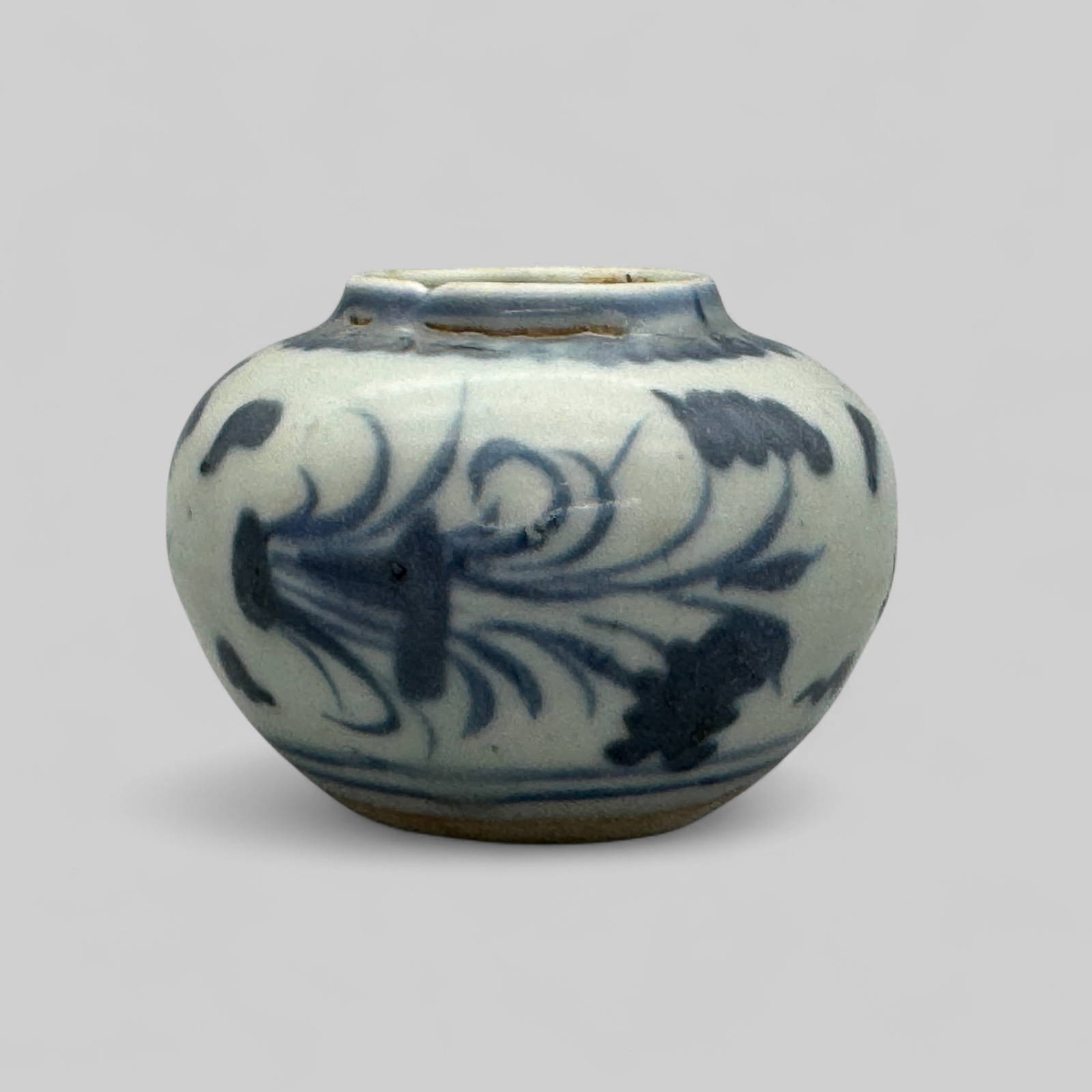 Porcelain Jar in Underglaze Blue, Ming