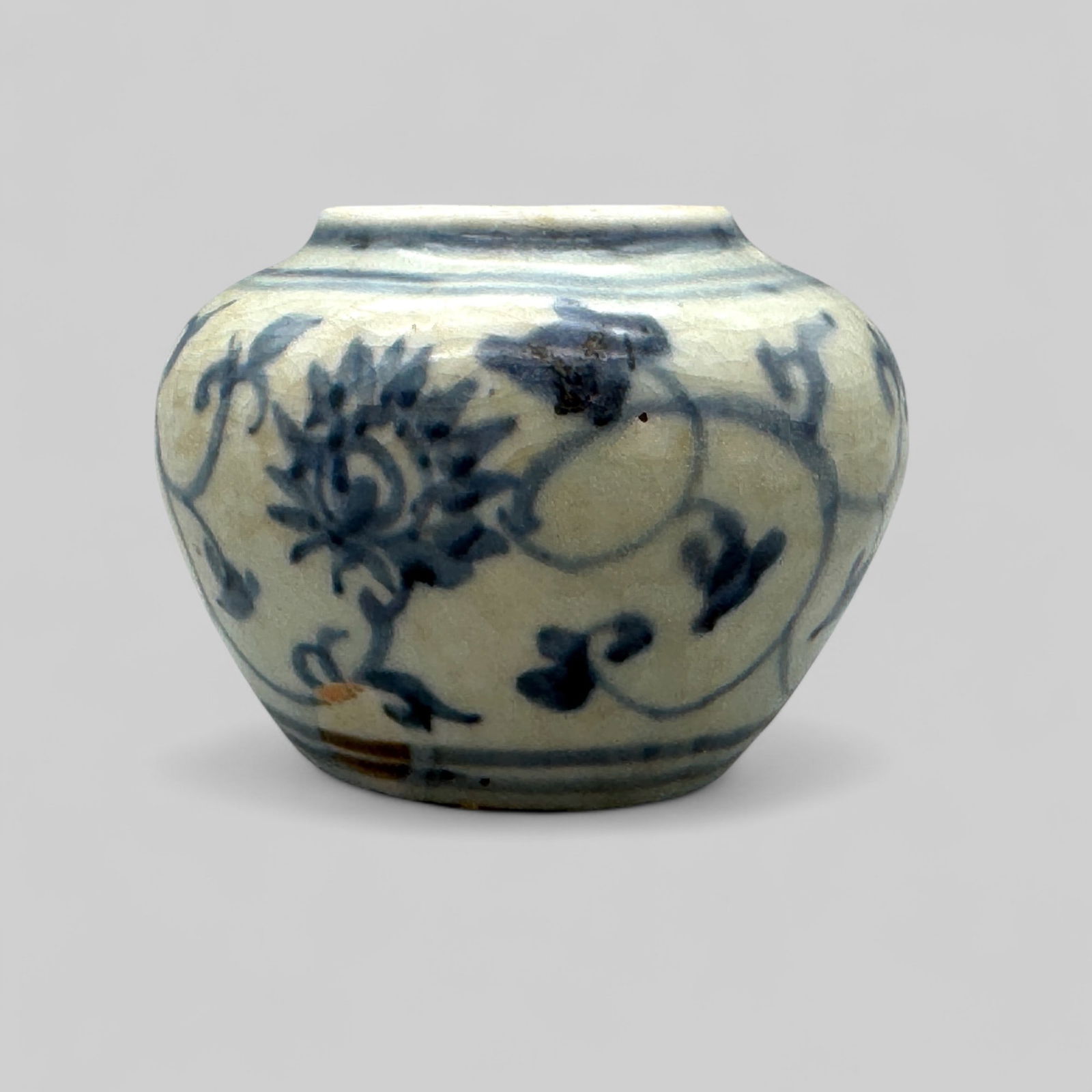 Porcelain Jar in Underglaze Blue, Ming (1 of 8)