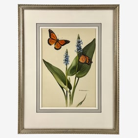 Monarch Butterfly by Roger Tory Peterson