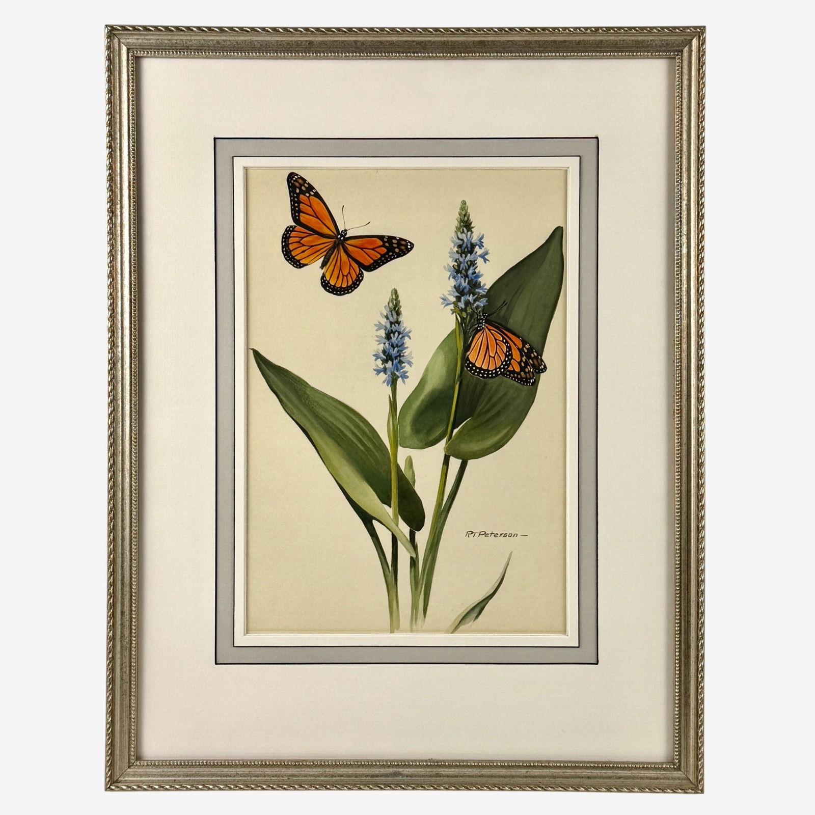 Monarch Butterfly by Roger Tory Peterson (1 of 4)