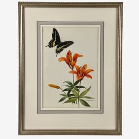 Black Swallowtail Butterfly by Roger Tory Peterson