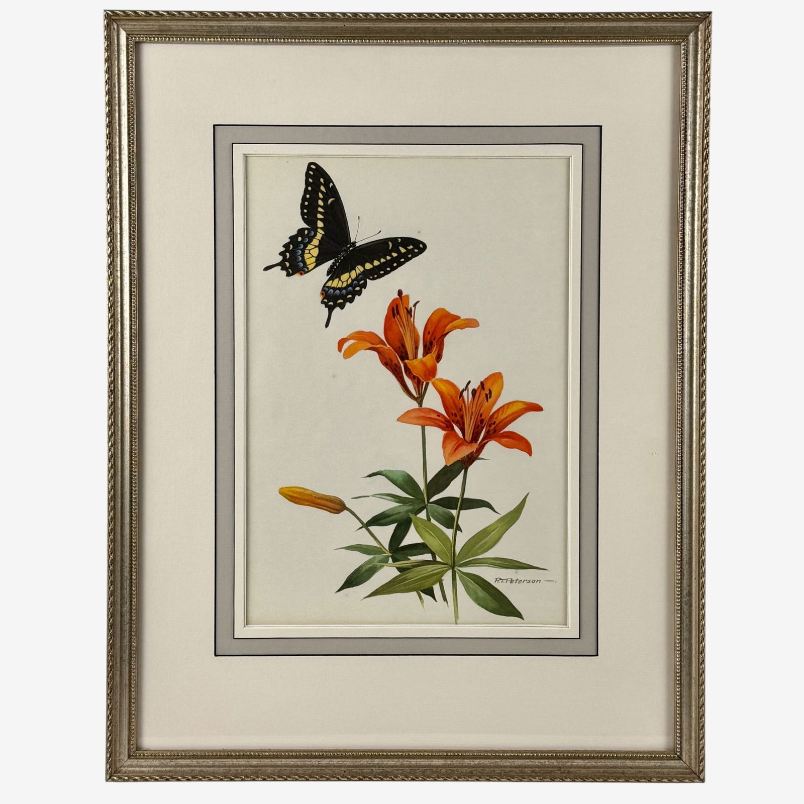 Black Swallowtail Butterfly by Roger Tory Peterson (1 of 4)