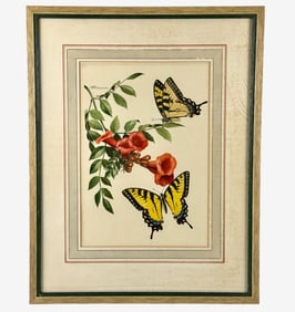 Butterflies by Roger Tory Peterson