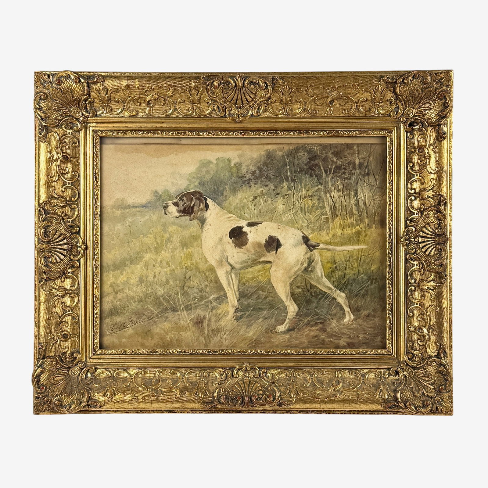 Pointer Watercolor by Edmund Osthaus: Edmund Henry Osthaus (American/Ohio, 1858-1928). Watercolor on paper, signed l.l. 10" x 13.5" (sight), 16" x 20" (framed).