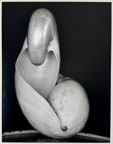 Edward Weston (1886-1958)