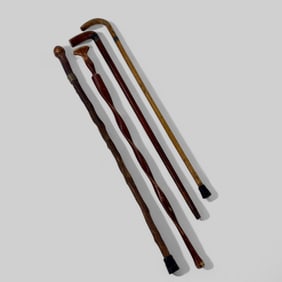 Group of Canes and Walking Sticks