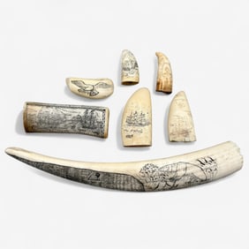 Seven Pieces of Scrimshaw