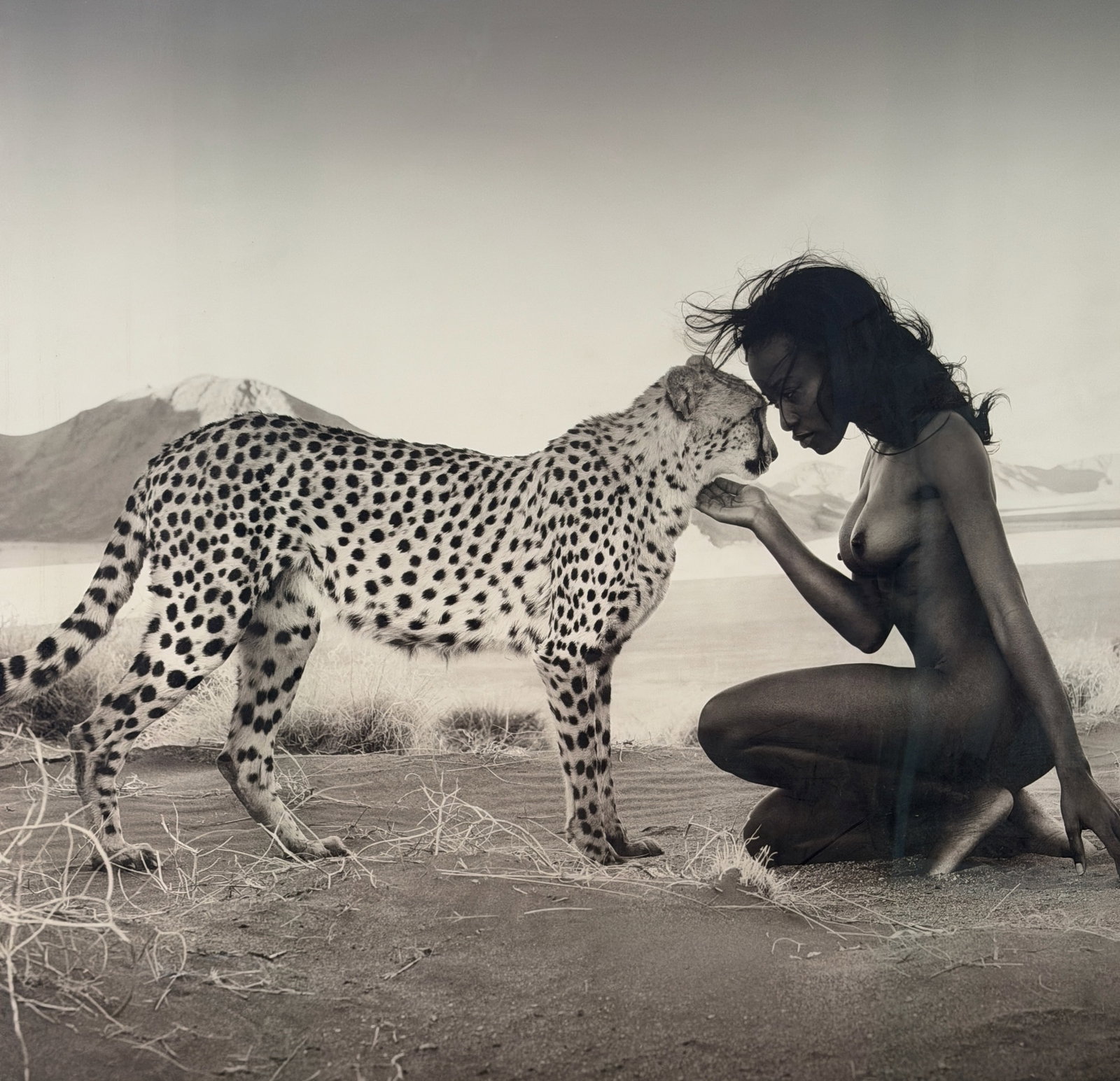 David Yarrow (British, b. 1966) - 8
