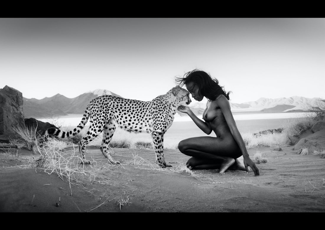 David Yarrow (British, b. 1966): Trust 148 wm. Vergenoeg Namibia Photograph, Pigment Print Signed and dated September 2013 to the lower right Numbered 16/20 lower left Image size: 65" ht. x 93.5" wd. Framed size: 71" ht. x 99.5" wd.