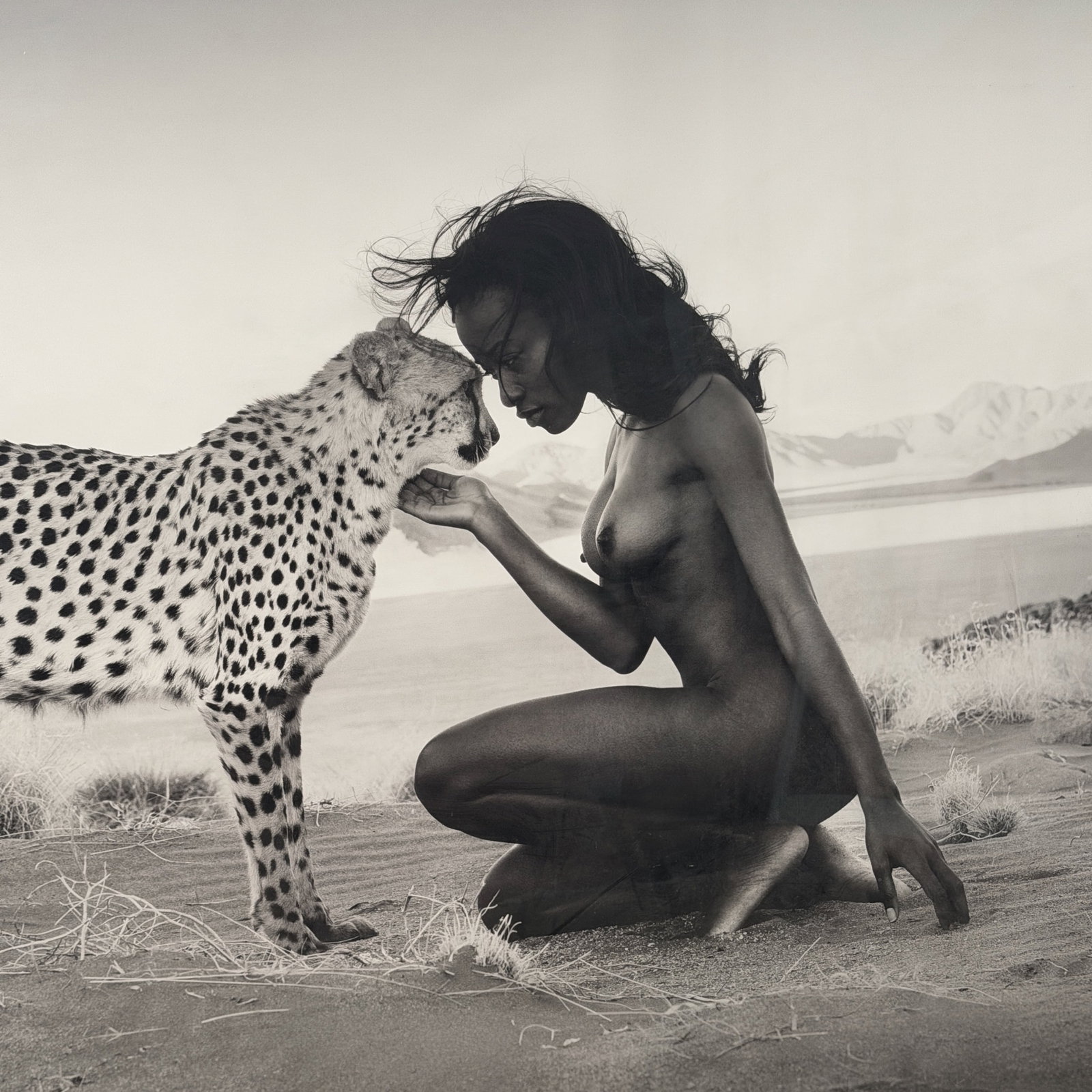 David Yarrow (British, b. 1966) - 6