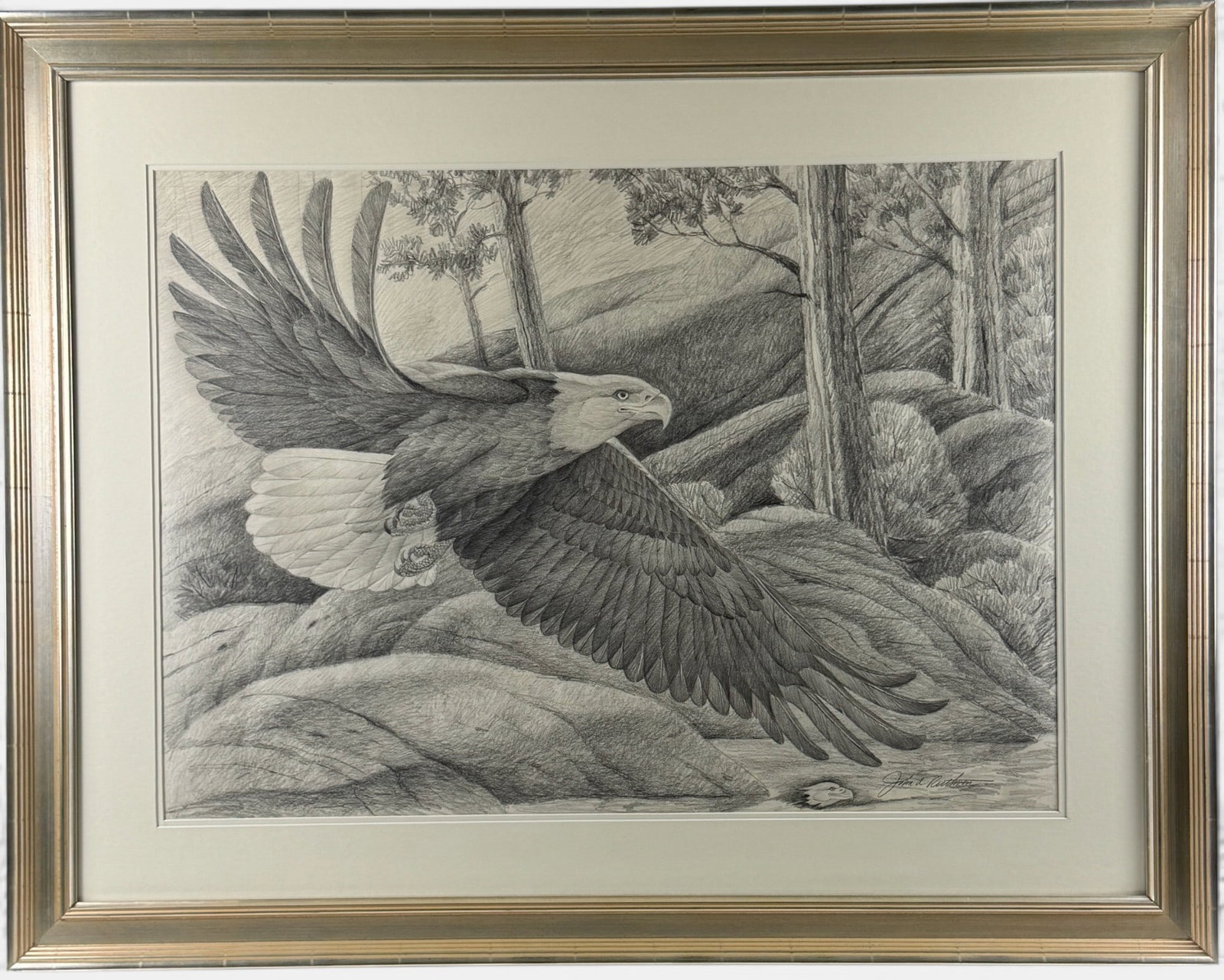 Graphite Sketch of Eagle by John Ruthven (1 of 5)