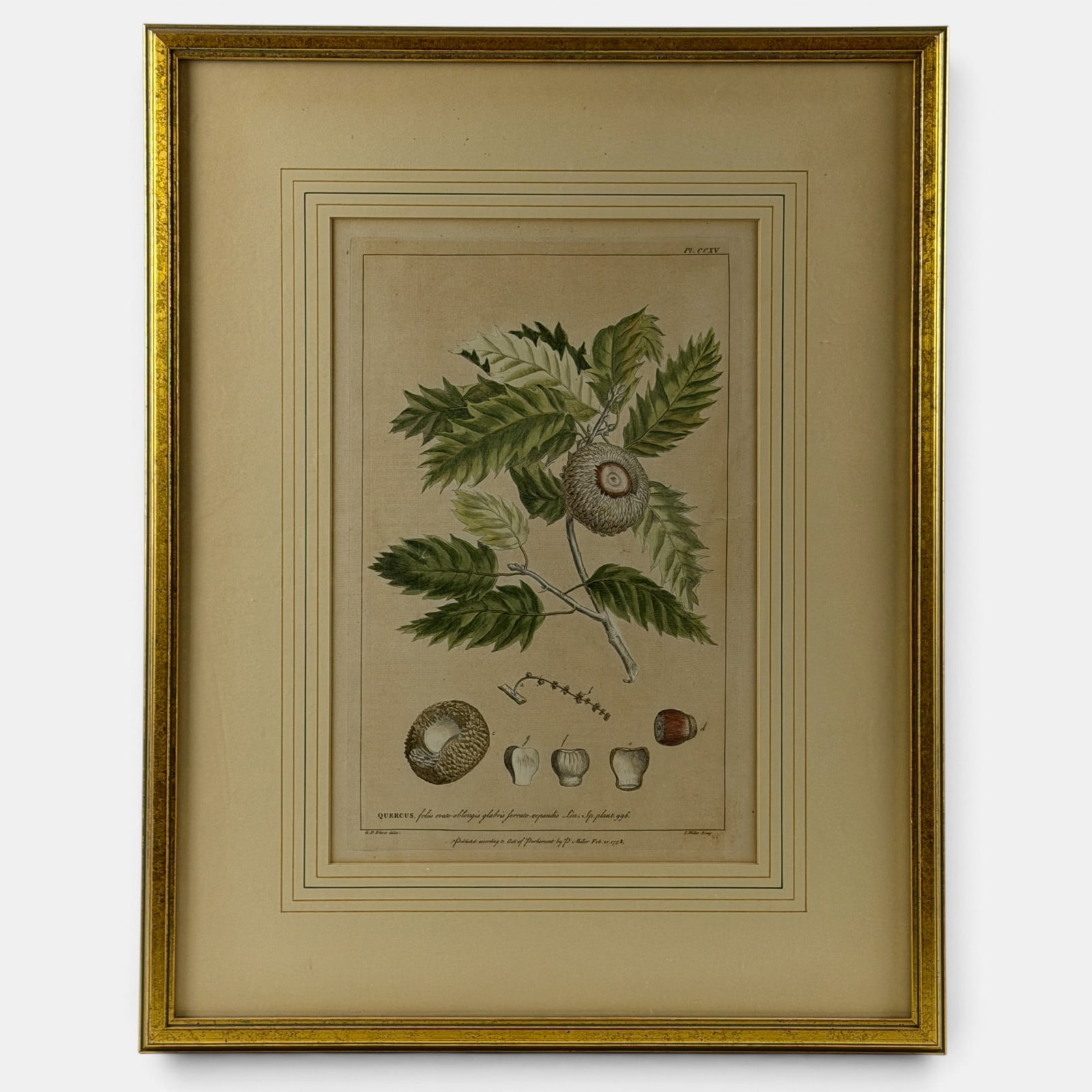 Three Early Engraving/Etchings: Including a botanical, hand colored engraving by L. Miller, as well as two 18th century framed etchings of animals. Largest framed 22" x 17.5".