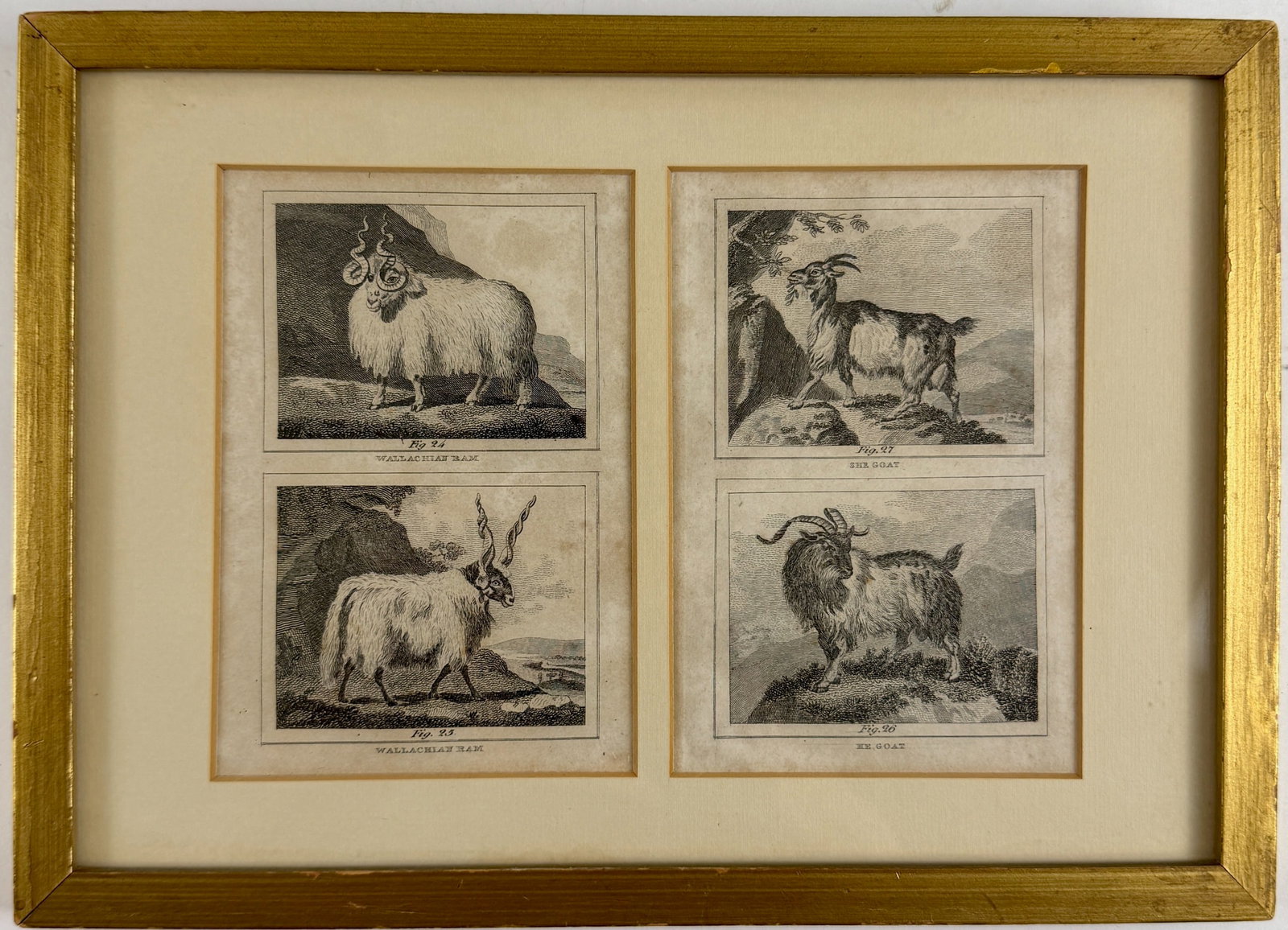 Three Early Engraving/Etchings - 4