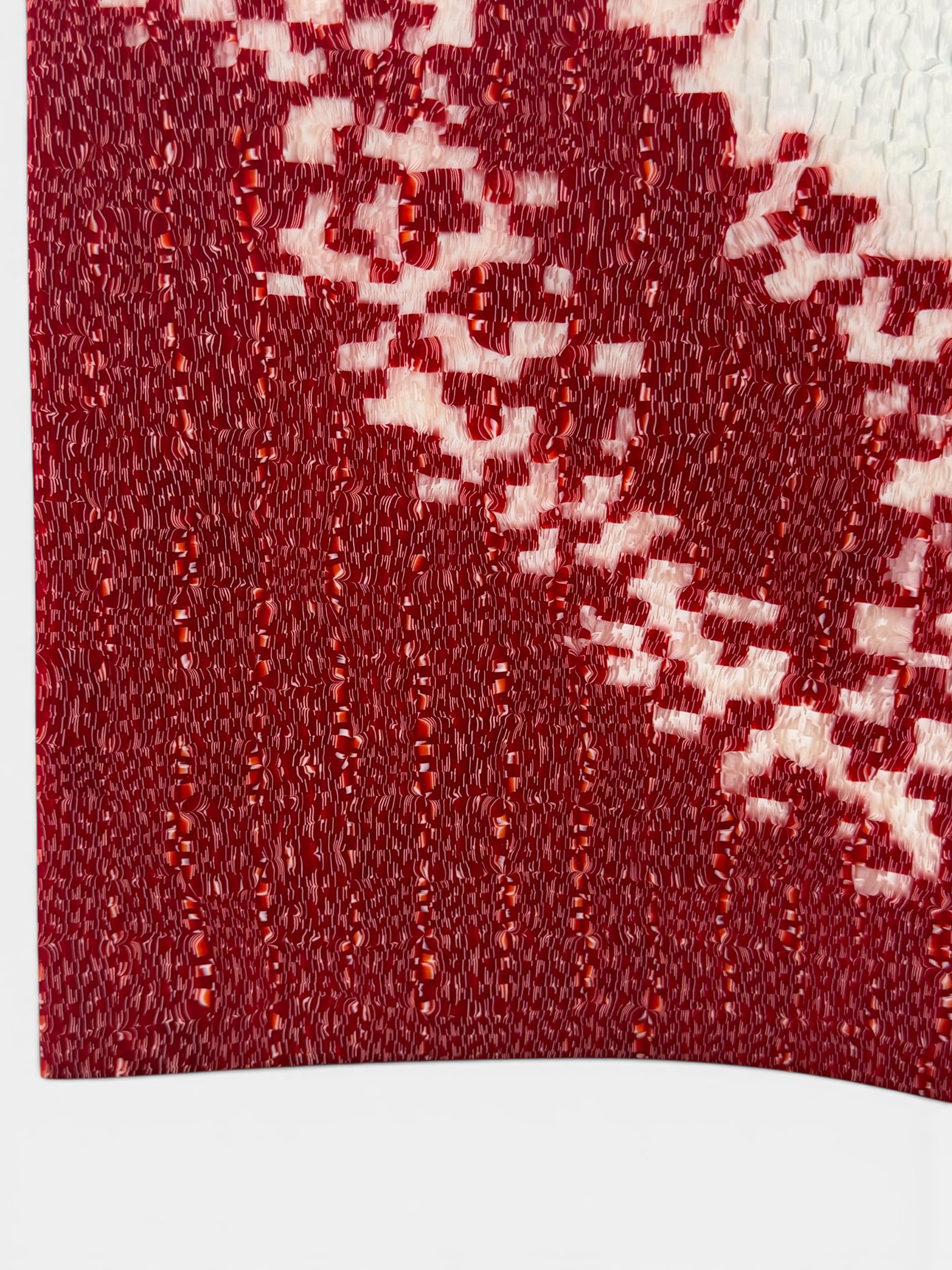 Janice Vitkovsky: Reason", 2004 - 2
