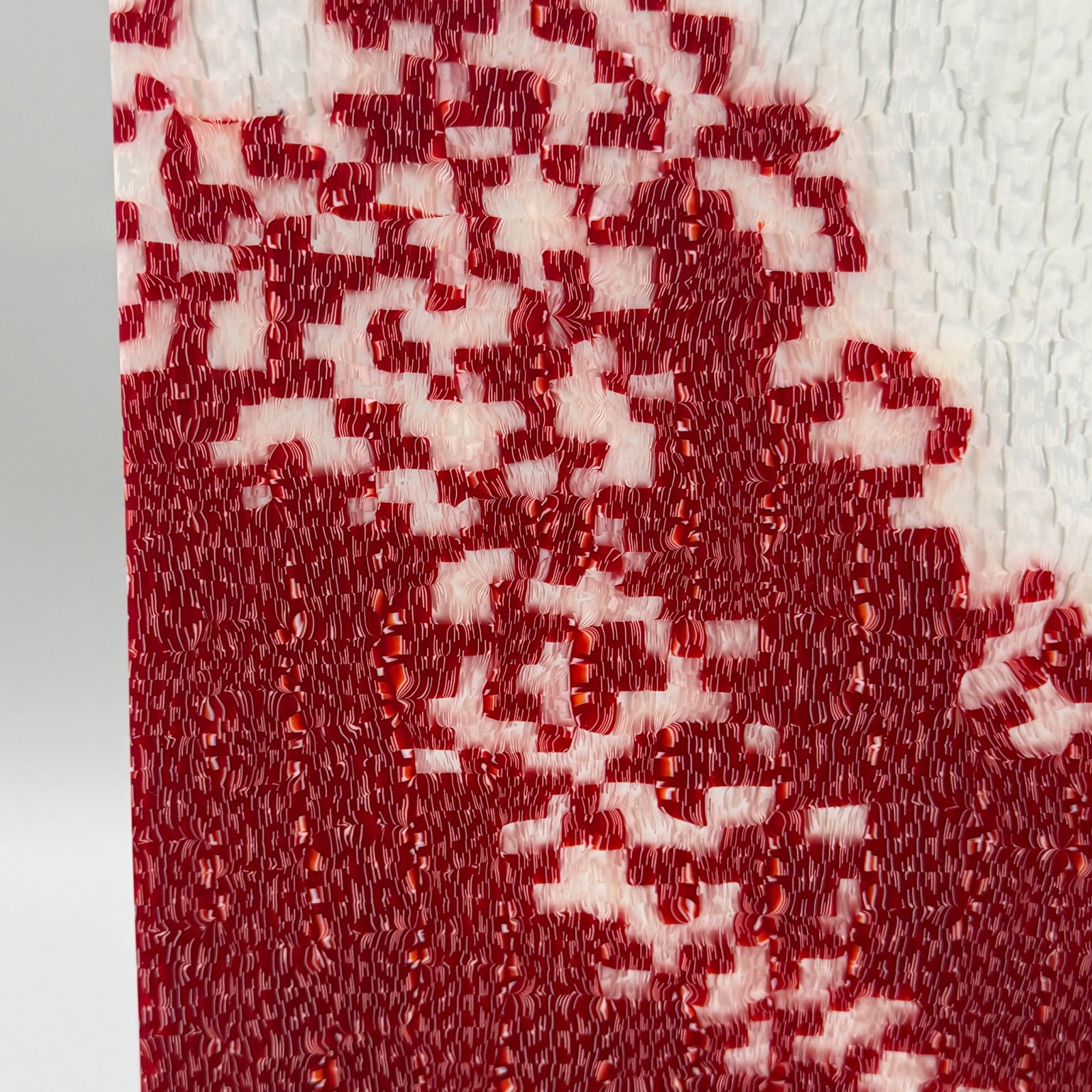 Janice Vitkovsky: Reason", 2004 - 5