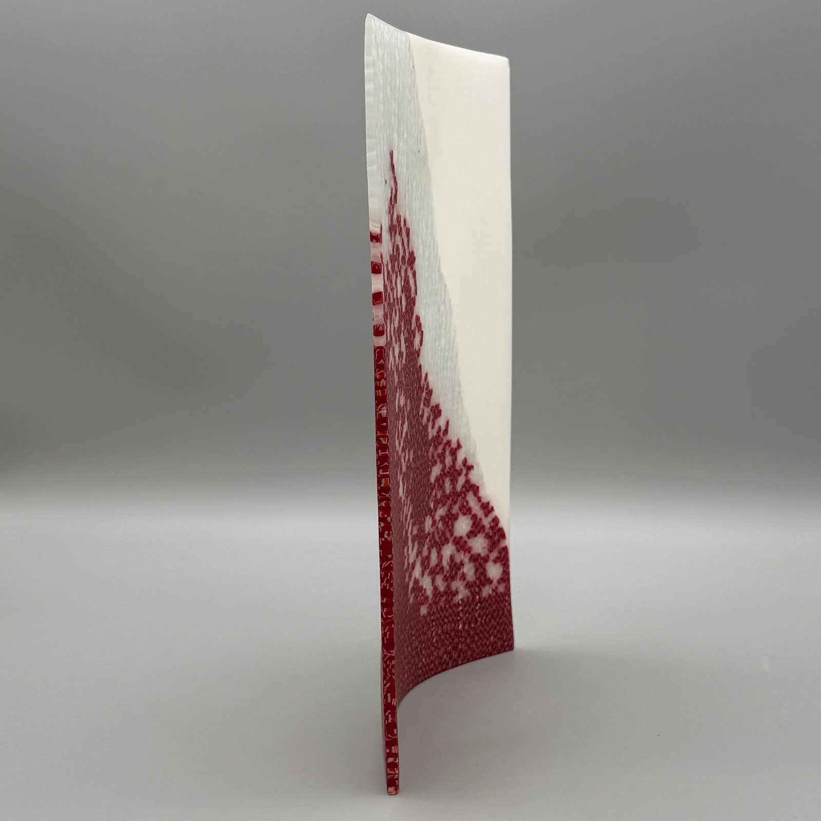 Janice Vitkovsky: Reason", 2004 - 7