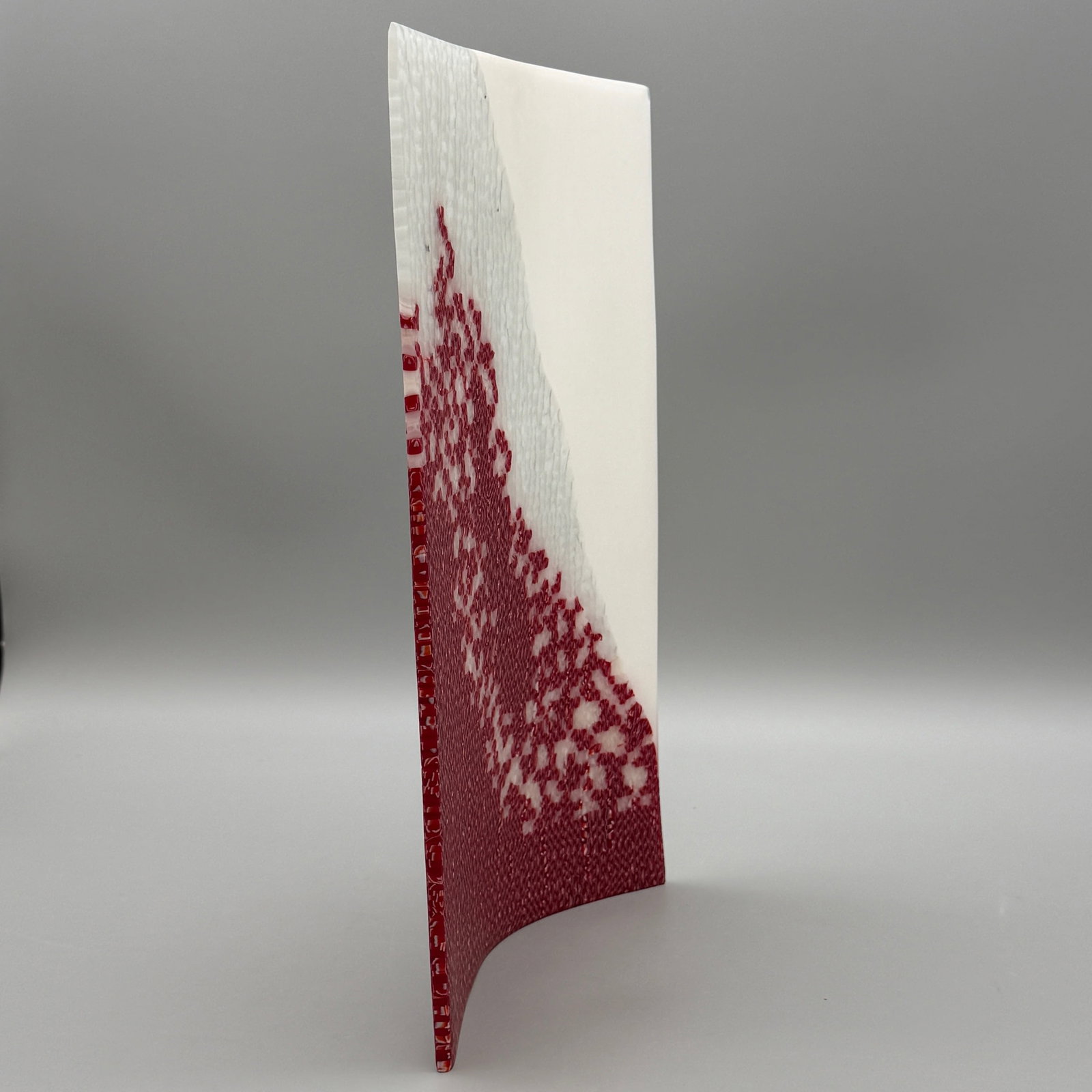 Janice Vitkovsky: Reason", 2004 - 8