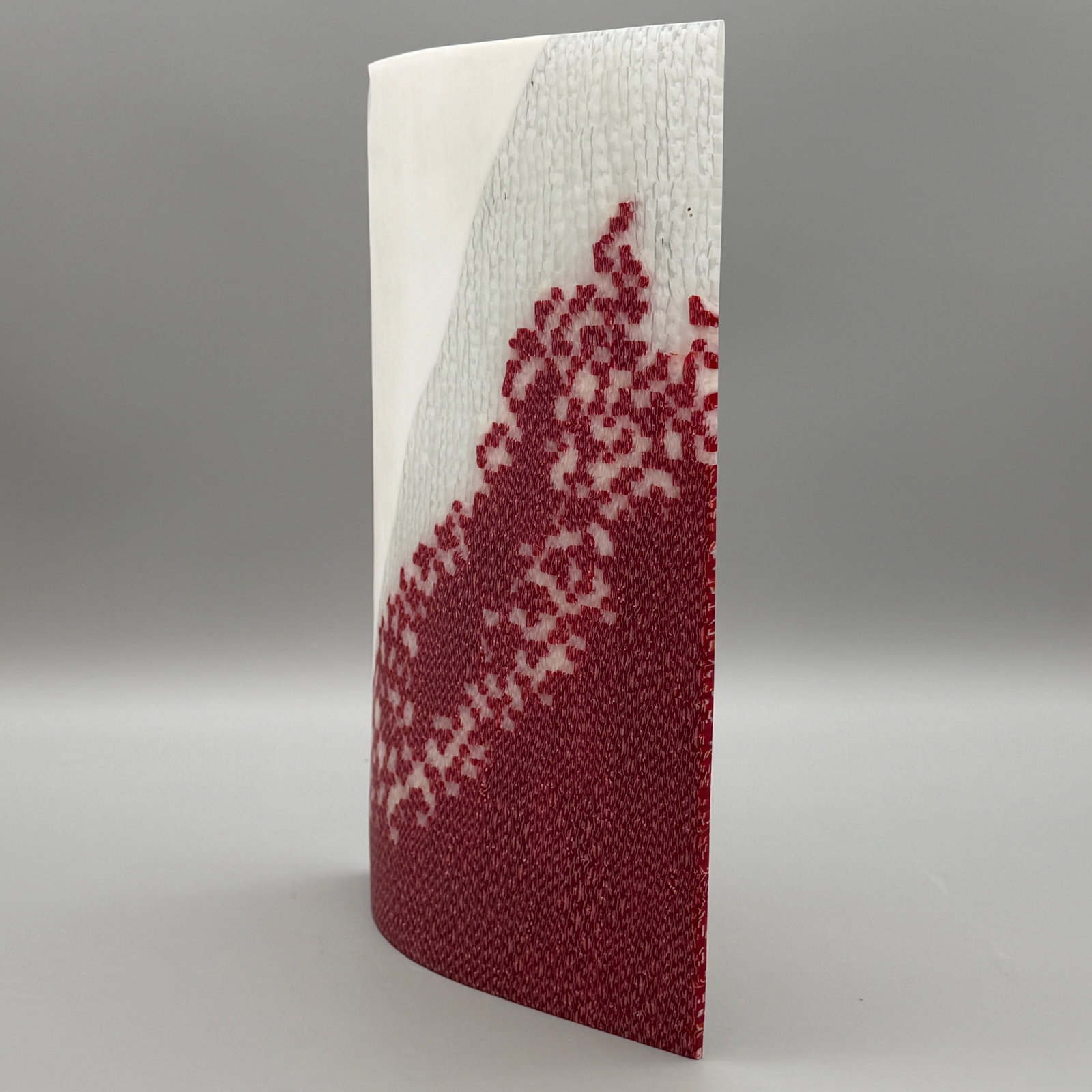 Janice Vitkovsky: Reason", 2004 - 9