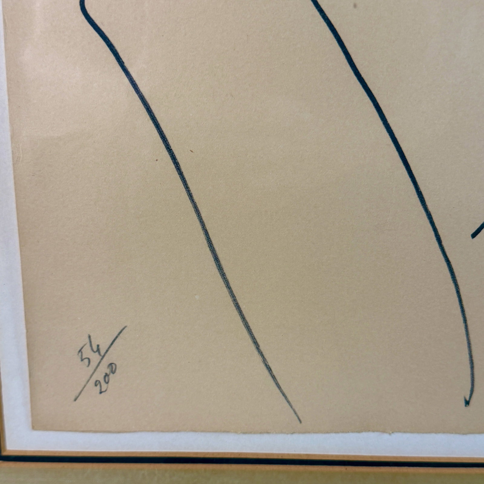 Pablo Picasso, Frederic Curie Lithograph - 4