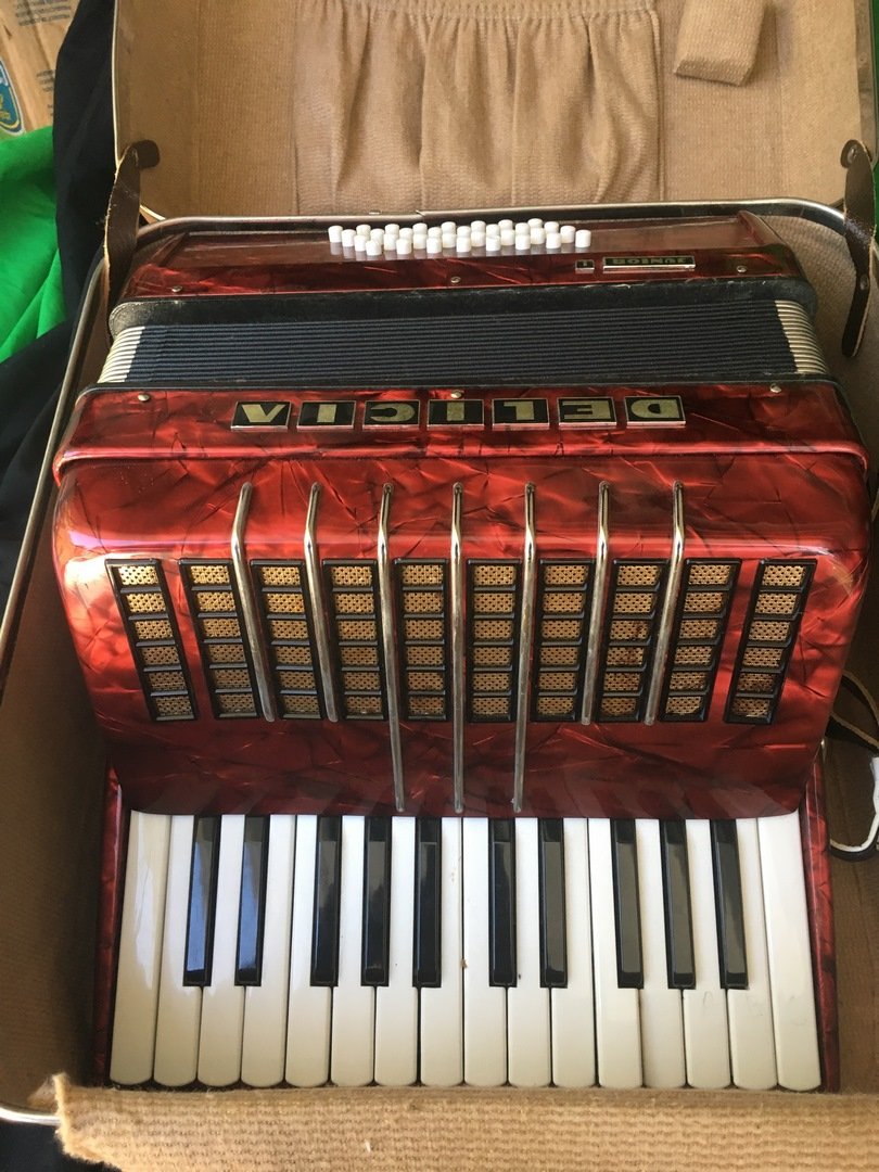 junior 1 accordion delicia: 14"x 18" made in Czechoslovakia