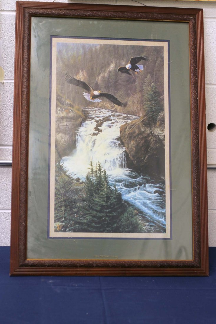 Framed Print of Eagles (1 of 1)