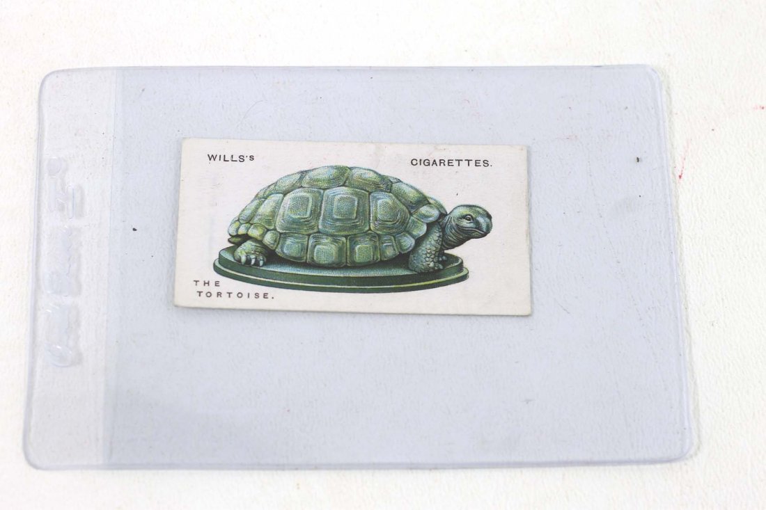 The Tortoise Tobacco Card Wills's Cigarettes (1 of 2)