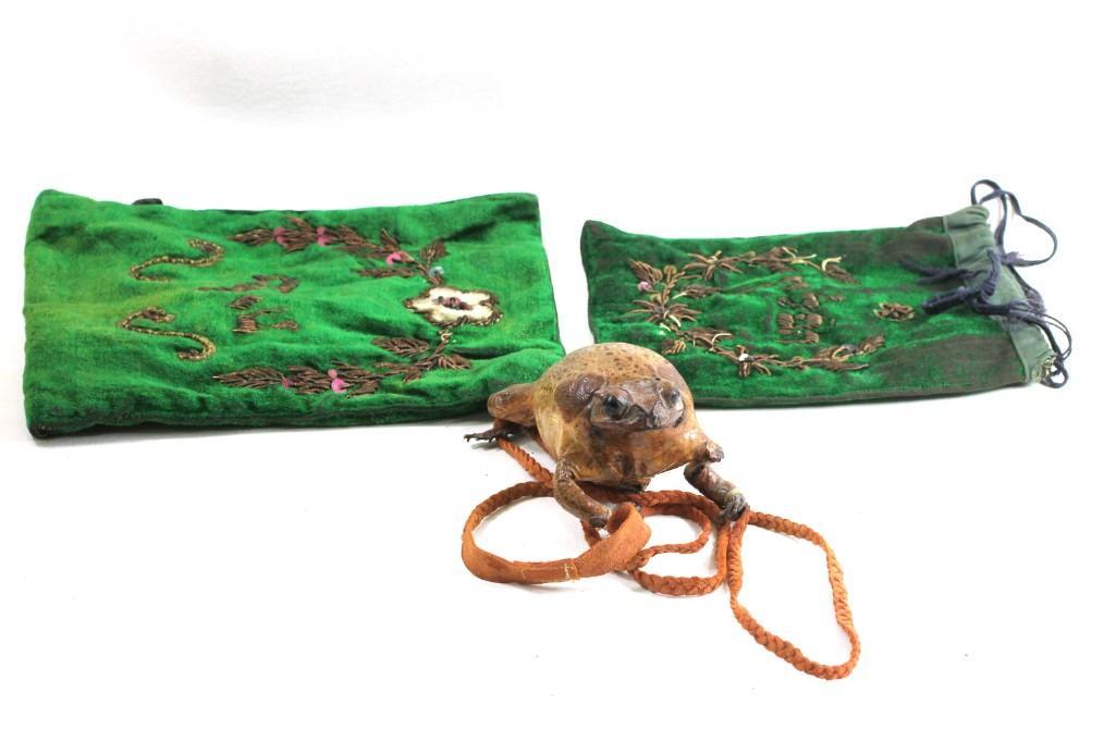 Vintage Taxidermy Frog Coin Purse and 2 Green (1 of 11)