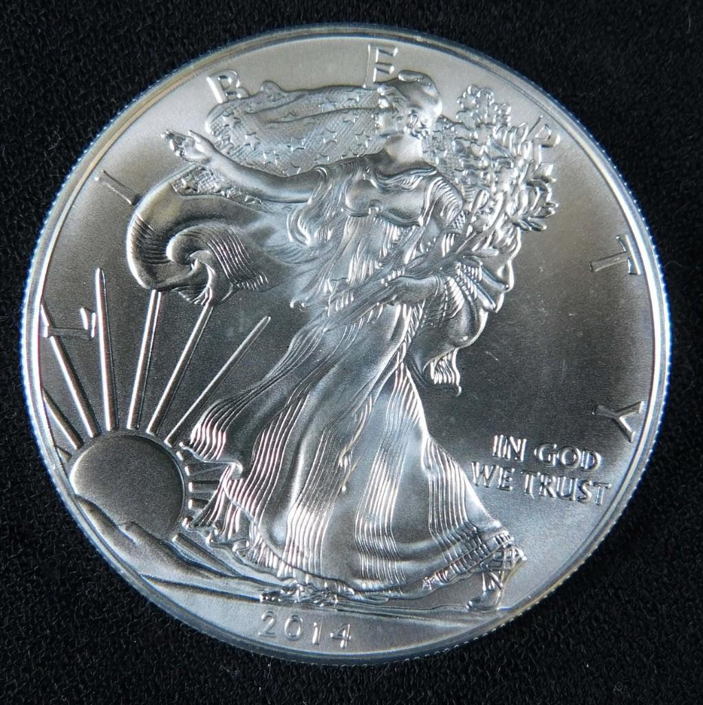 2014 BU American Silver Eagle (1 of 2)