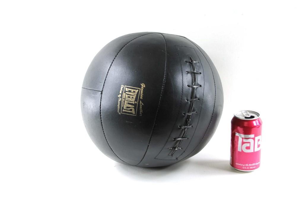 Leather Everlast Medicine Ball for Exercise: Leather Everlast Medicine Ball for Exercise