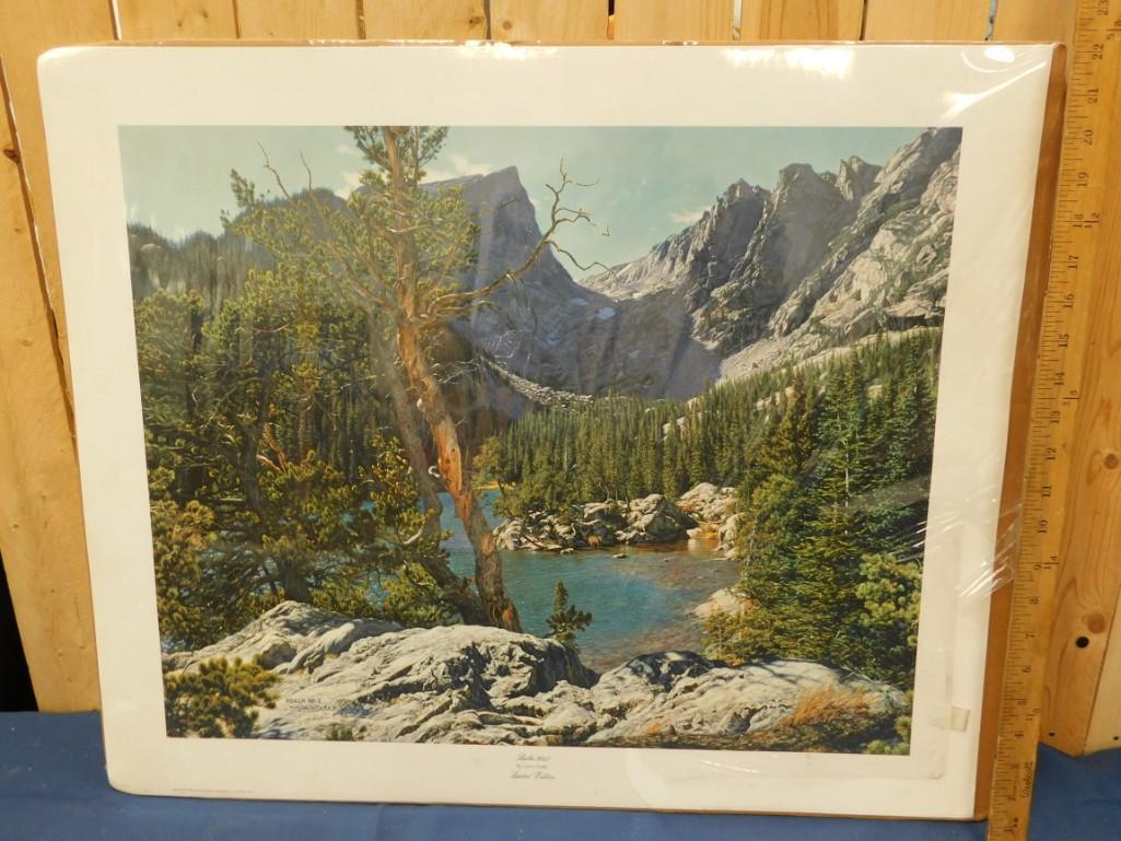 Signed Print Larry Dyke Nature Scene: Signed Print Larry Dyke Nature Scene