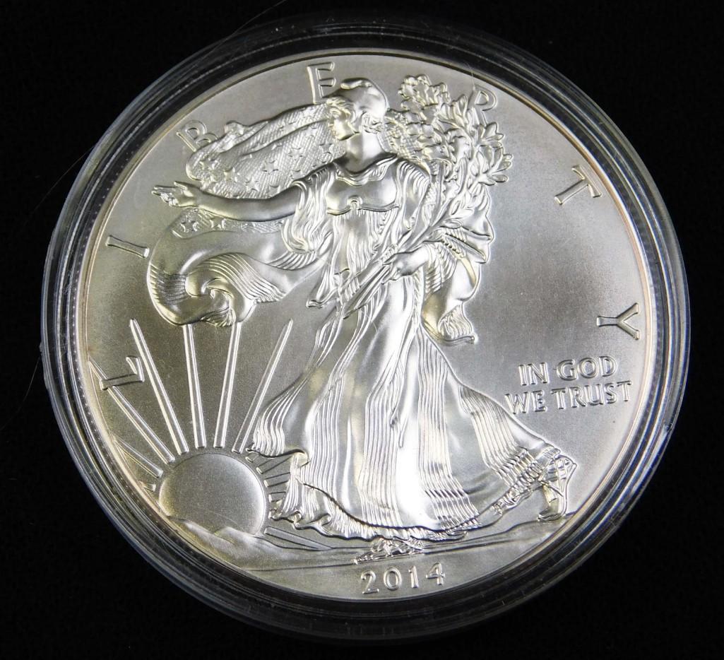 2014 BU American Silver Eagle Coin (1 of 2)