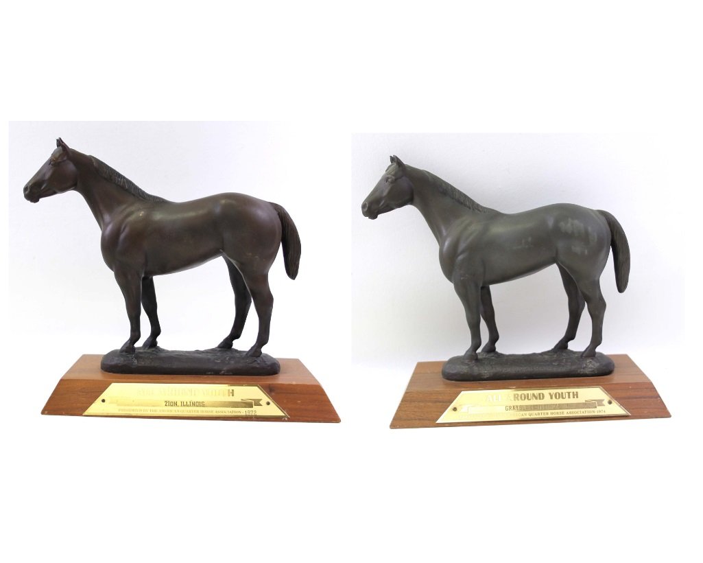 Lot of 2 Horse Trophies or Statues: Lot of 2 Horse Trophies or StatuesThese are metal horses on wooden stands. They are fairly heavy.
