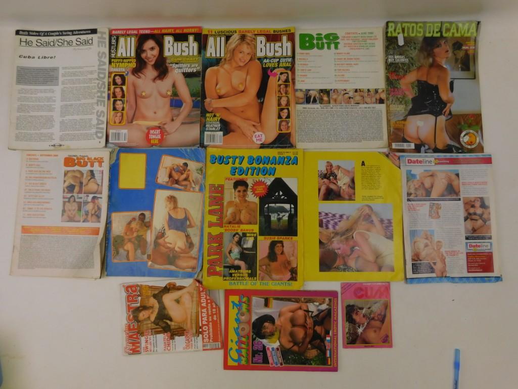 Lot of adult Magazines including Hustler's All Bush: Lot of adult Magazines including Hustler's All Bush and Ratos de Cama (Bed Rats), lots of other magazines too that may be missing some pages, but still plenty of articles and pictures. Some disc