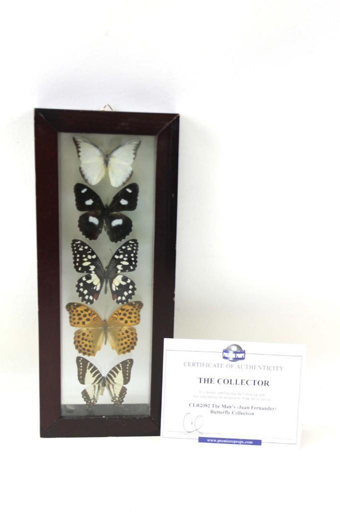 Movie Prop from The Collector The Man's Butterfly: Movie Prop from The Collector The Man's ( Juan Fernandez ) Butterfly Collection with Certificate of Authenticity