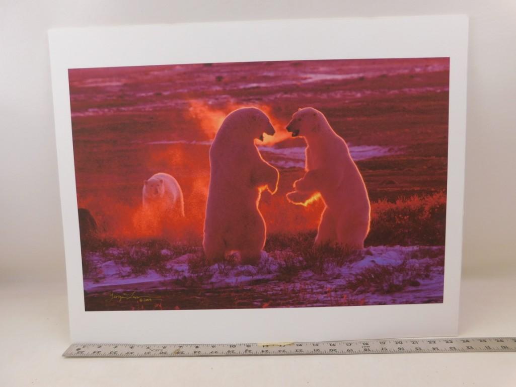 Signed Polar Bear Art Print / Photo Ready for Framing (1 of 4)