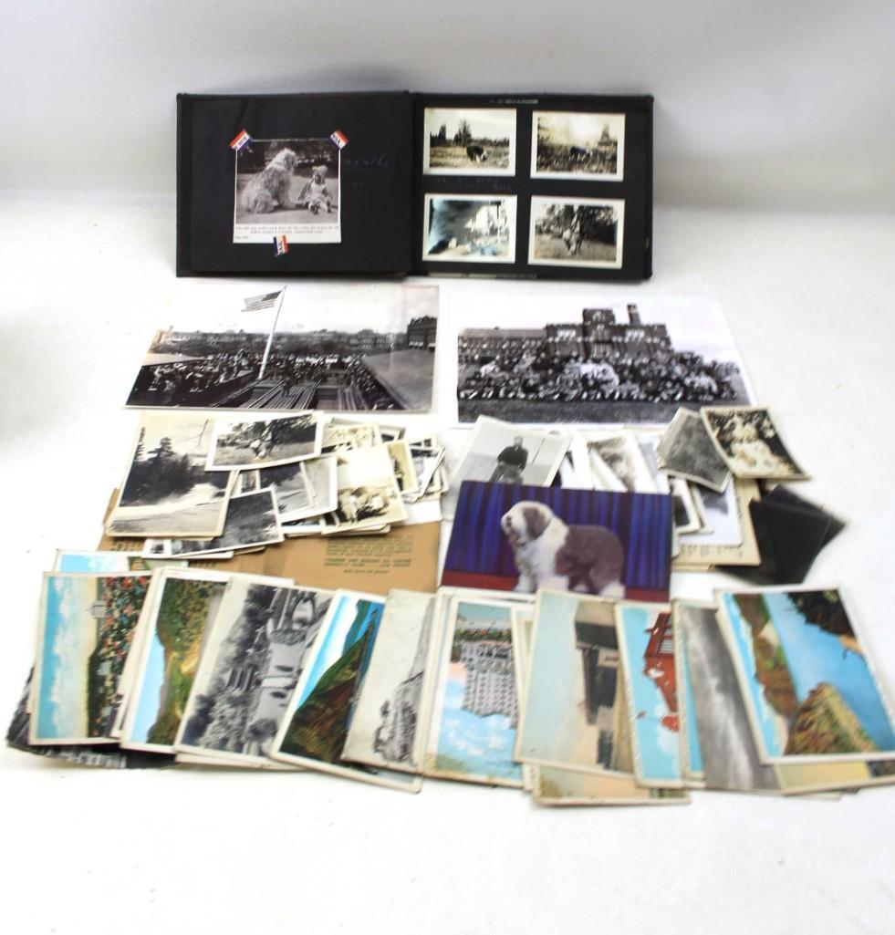 Ephemera Lot incl Photographs and Postcards incl Dog: Vintage Ephemera Lot incl Photographs and Postcards . Includes fun pictures of an Old English Sheepdog 