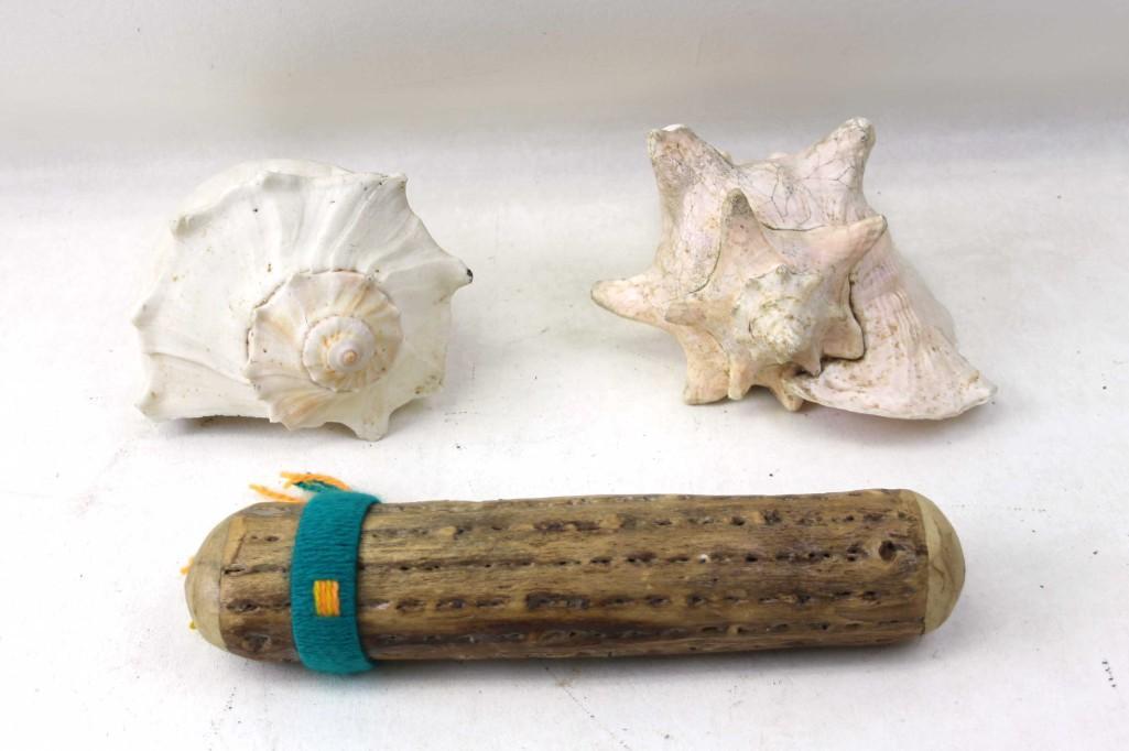 2 Conch Shells and a Rain Stick (1 of 2)
