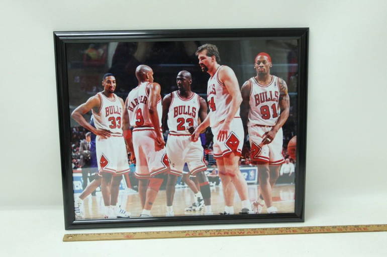 1997-98 Chicago Bulls Roster Photo 8x10 Very Good Condition 