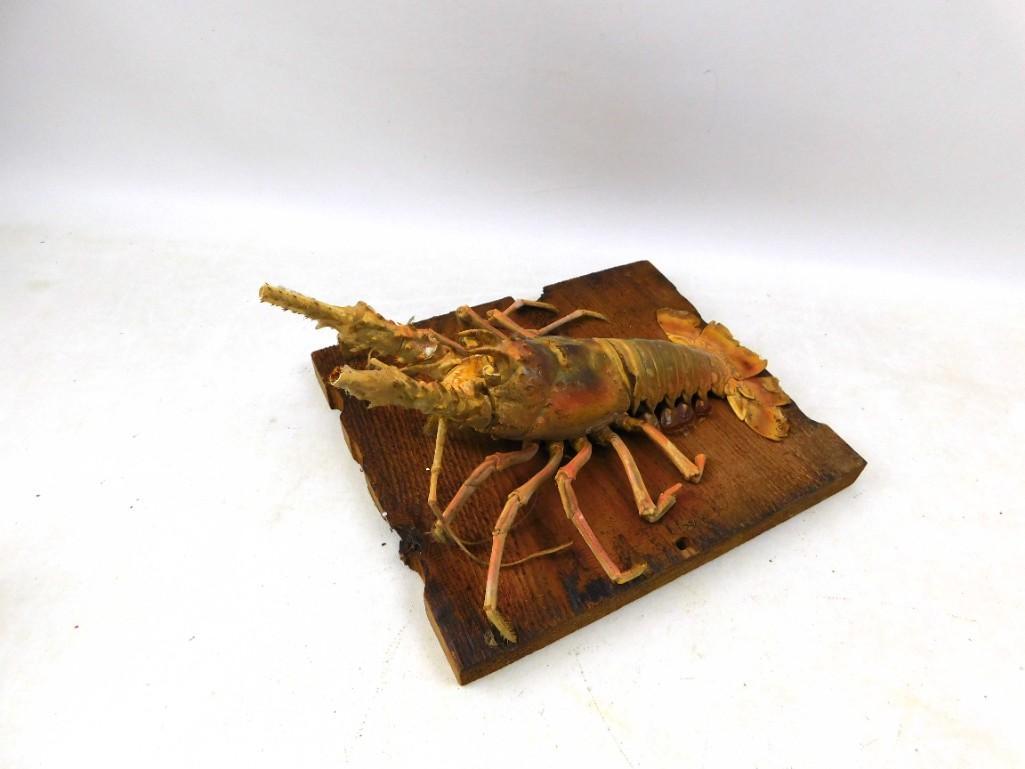 Taxidermy Lobster Mounted on Wood (1 of 3)