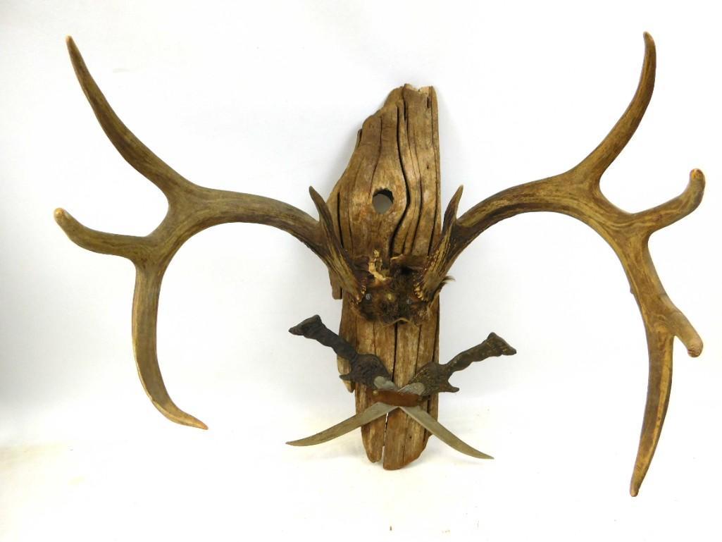 9 Point Deer Antlers on Wooden Mount with knives (1 of 5)