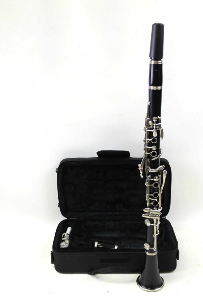 Anaxa Clarinet with Soft Side Case: Anaxa Clarinet with Soft Side Case