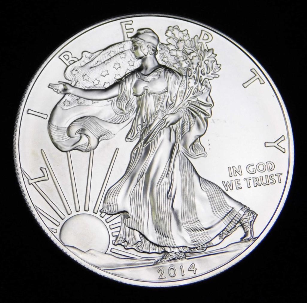 2014 BU American Silver Eagle Coin 1 oz Fine Silver (1 of 2)